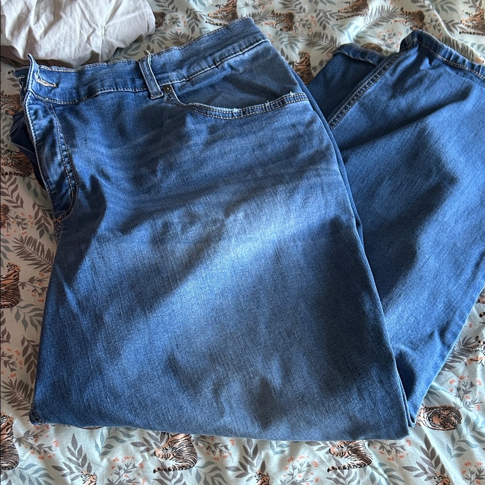 Terra & Sky Straight Fit Blue Jeans - 26W Petite
